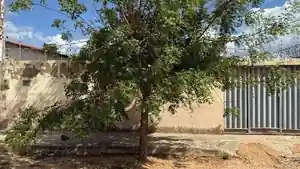 Casa - Mossoro, RN