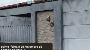 Casa - Sao Jose De Mipibu, RN