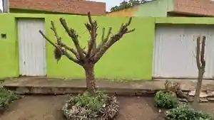 Casa - Lagoa Do Carro, PE