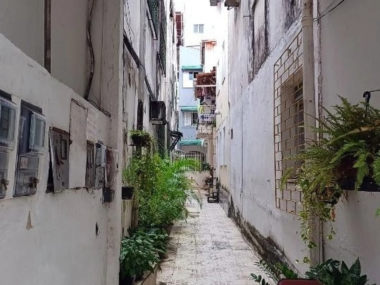 Casa - Salvador, BA - foto 1
