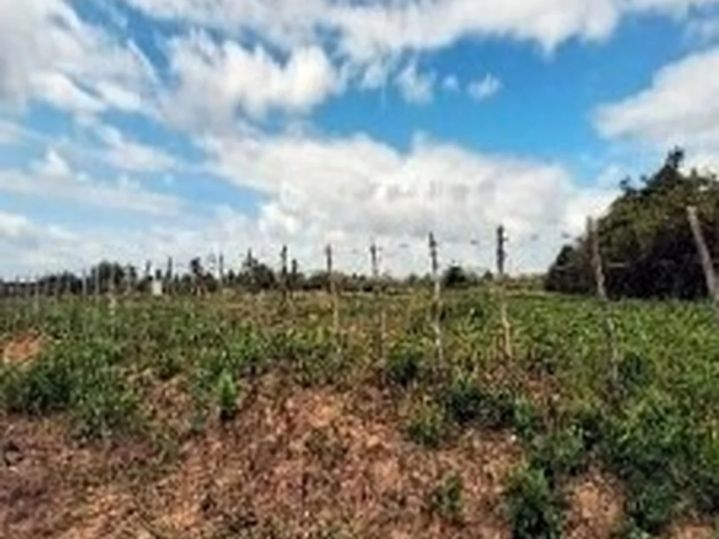 Casa - Macaiba, RN - foto 1