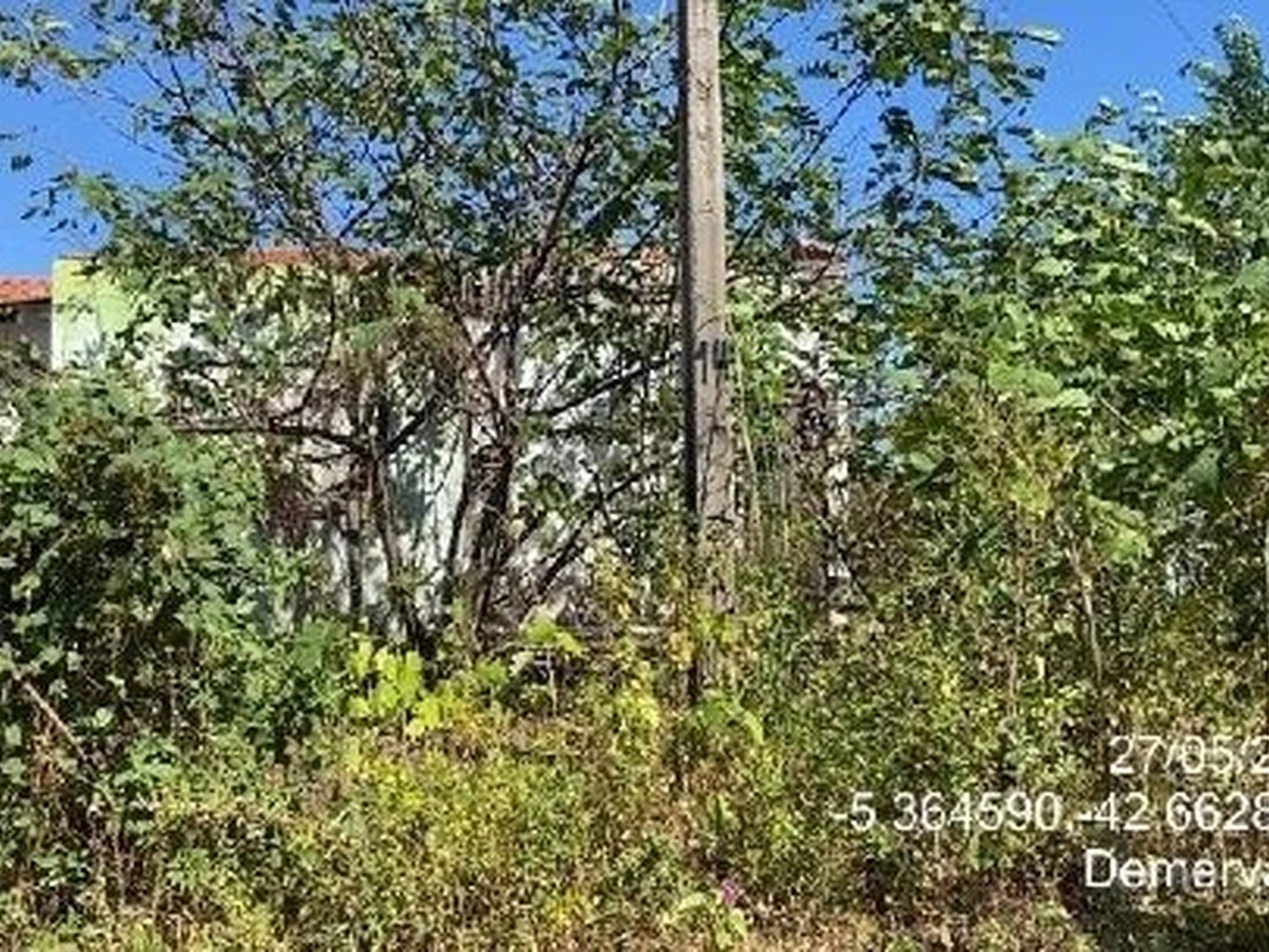 Casa - Demerval Lobao, PI - foto 1