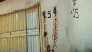 Casa - Demerval Lobao, PI