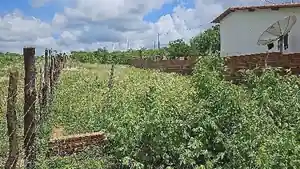 Terreno - Carnaubais, RN