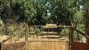 Casa - Demerval Lobao, PI