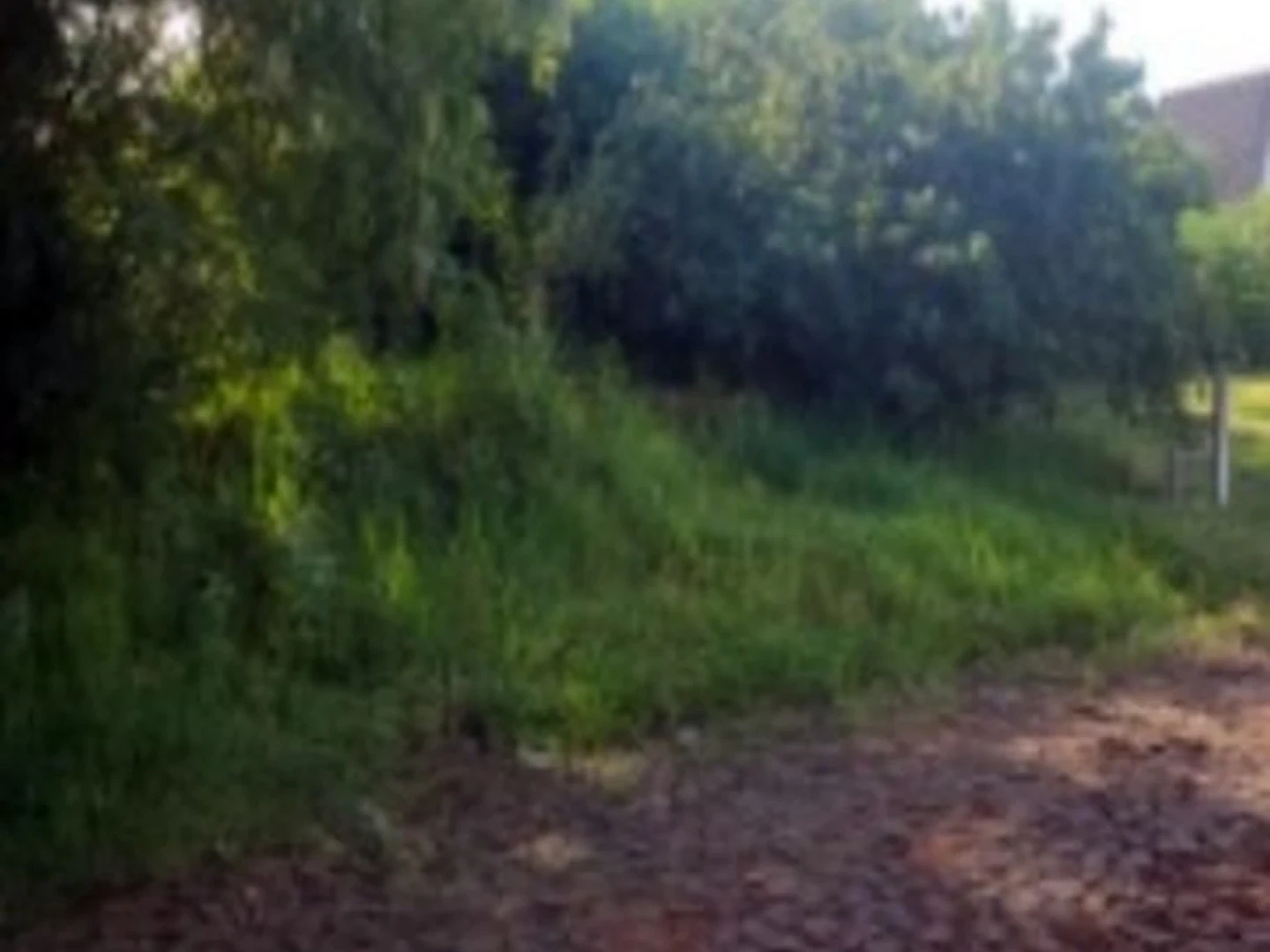 Terreno - Sao Luiz Gonzaga, RS - foto 1