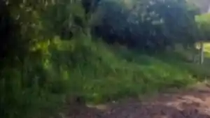 Terreno - Sao Luiz Gonzaga, RS