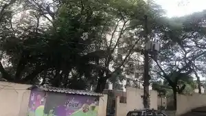 Apartamento - Rio De Janeiro, RJ