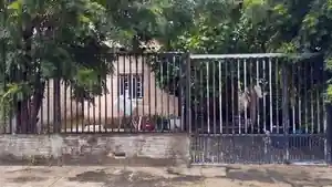 Casa - Piracuruca, PI