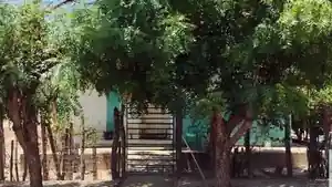 Casa - Demerval Lobao, PI