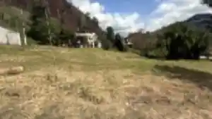 Casa - Carangola, MG