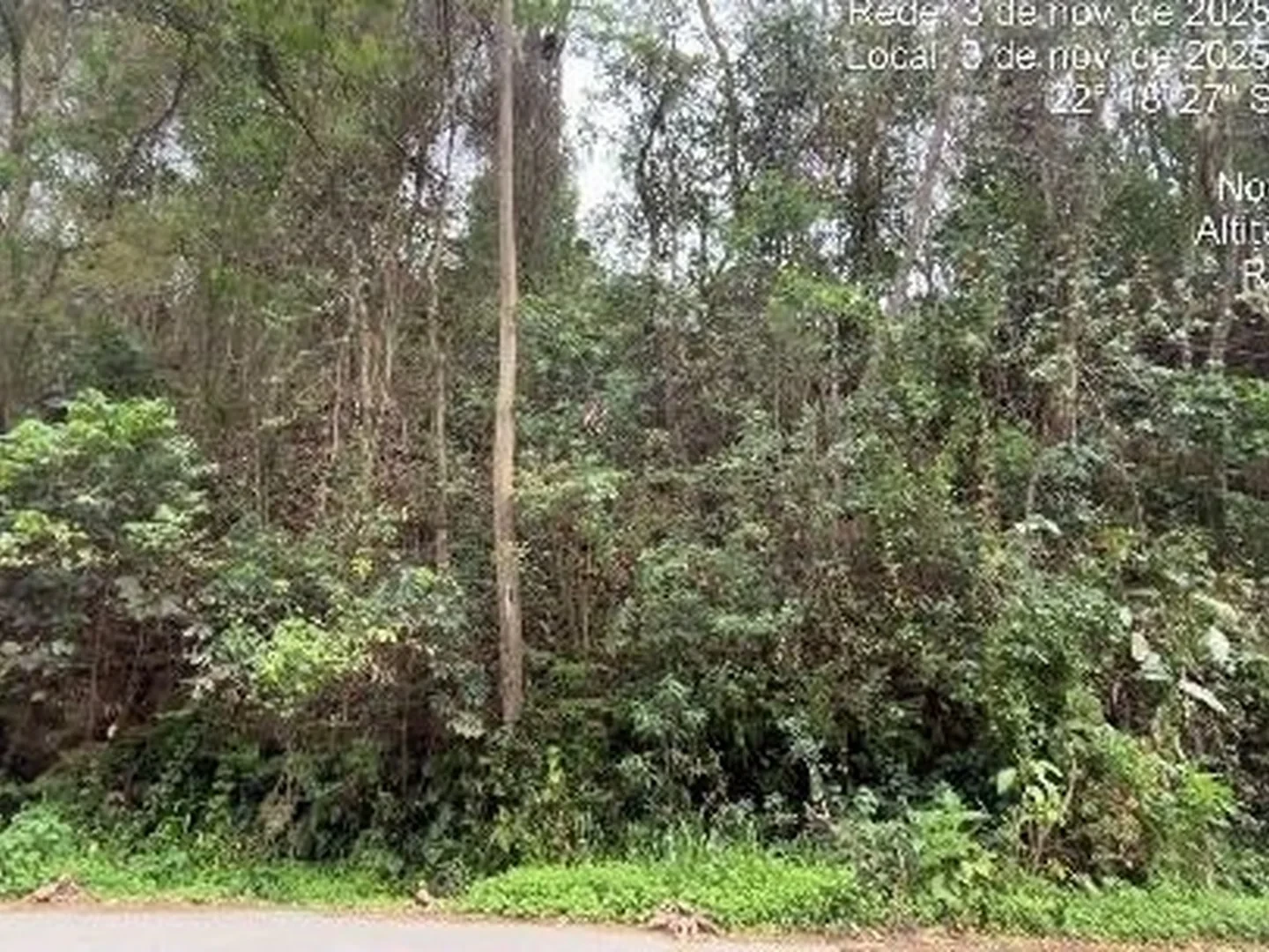 Terreno - Nova Friburgo, RJ - foto 1
