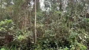 Terreno - Nova Friburgo, RJ
