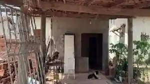 Casa - Demerval Lobao, PI