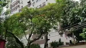 Apartamento - Rio De Janeiro, RJ