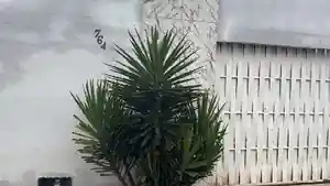 Casa - Irece, BA