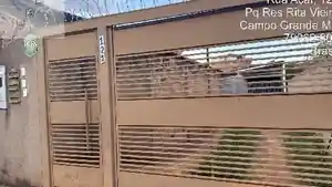 Casa - Campo Grande, MS