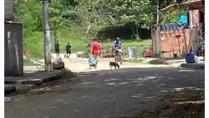 Casa - Duque De Caxias, RJ