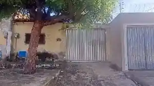 Casa - Horizonte, CE
