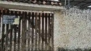 Casa - Mage, RJ