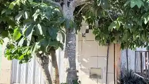 Casa - Itaitinga, CE