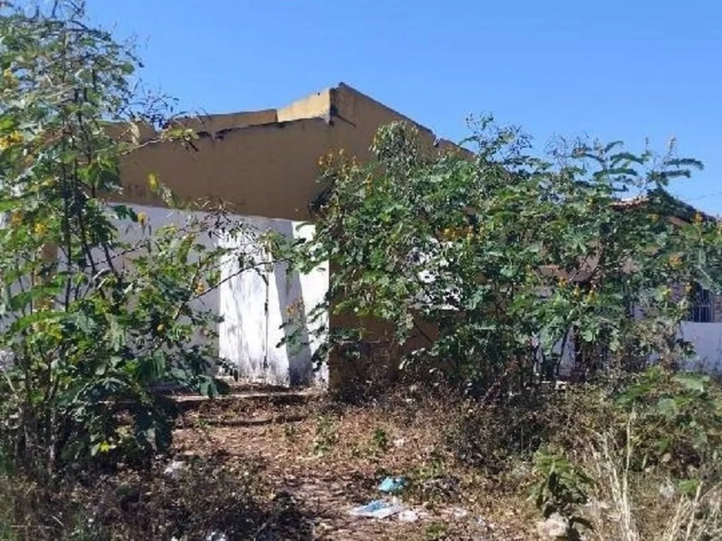Casa - Demerval Lobao, PI - foto 1