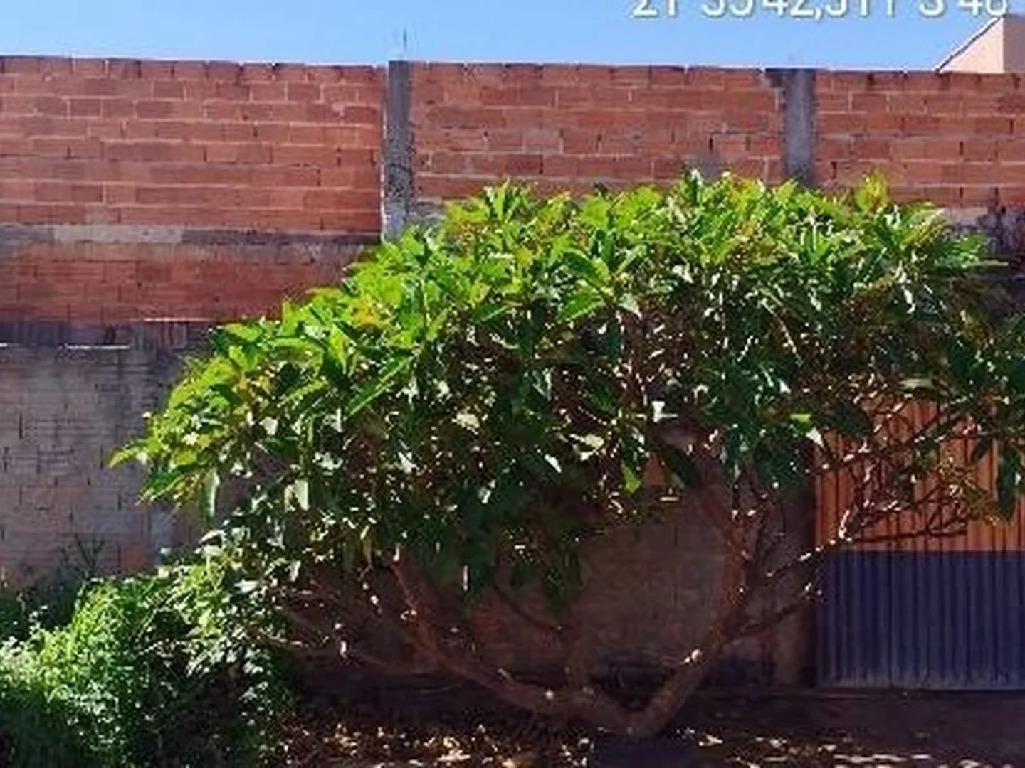 Casa - Rincao, SP - foto 1