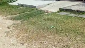 Casa - Nossa Senhora Do Socorro, SE