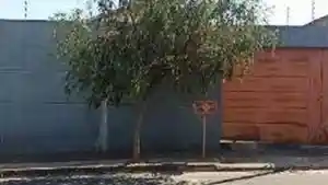 Casa - Araraquara, SP