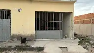 Casa - Lajedo, PE
