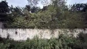 Casa - Tangua, RJ