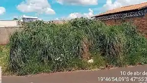 Terreno - Uberaba, MG