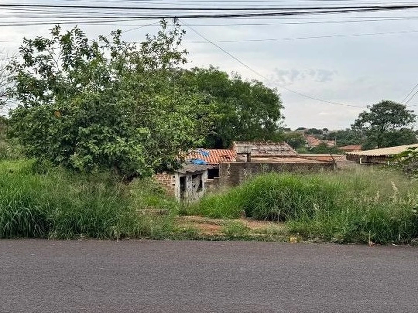 Terreno - Araraquara, SP - foto 1