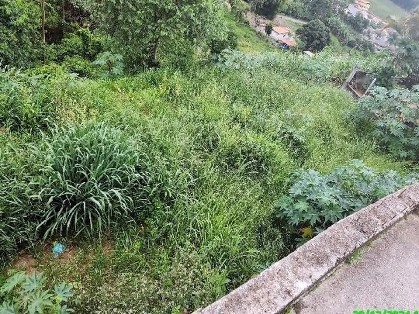 Terreno - Duas Barras, RJ - foto 1