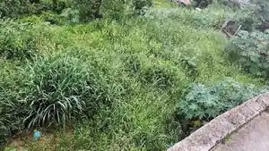 Terreno - Duas Barras, RJ
