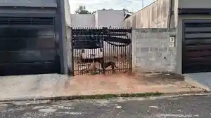 Casa - Neves Paulista, SP