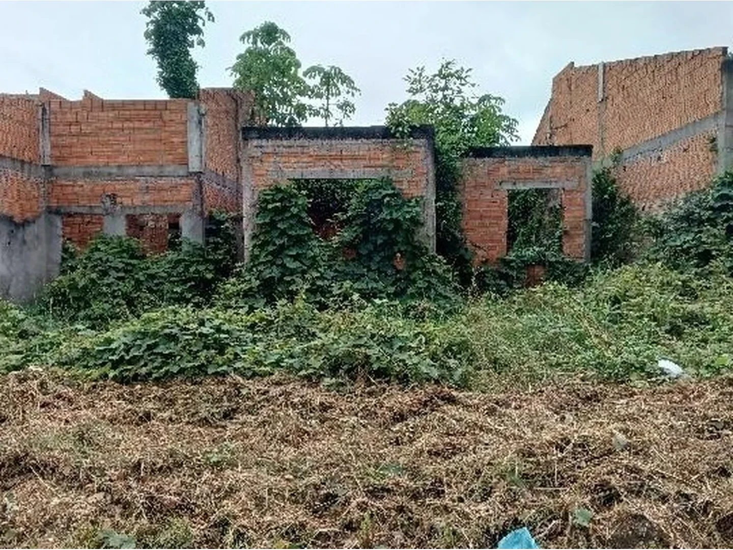 Terreno - Maraba, PA - foto 1