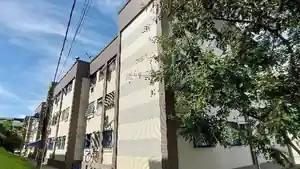 Apartamento - Rio De Janeiro, RJ
