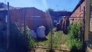 Terreno - Sao Carlos, SP