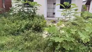 Casa - Demerval Lobao, PI