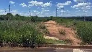 Terreno - Uberaba, MG