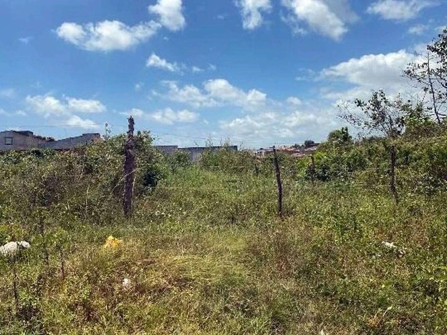 Casa - Nossa Senhora Do Socorro, SE - foto 1