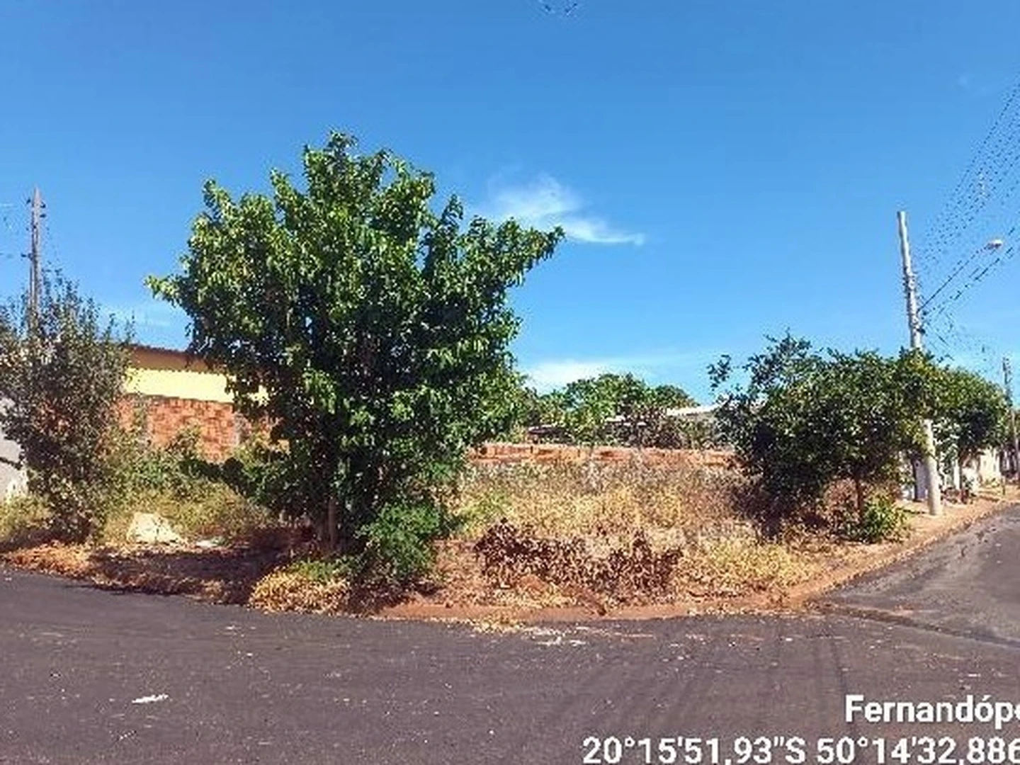Terreno - Fernandopolis, SP - foto 1