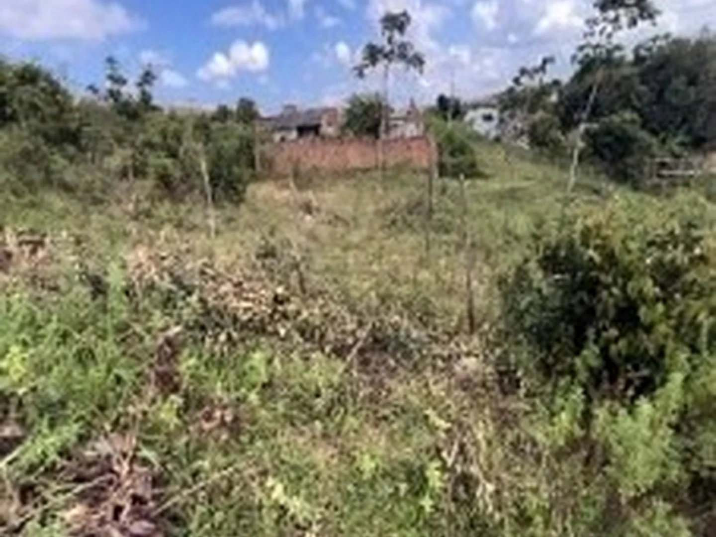 Terreno - Nossa Senhora Do Socorro, SE - foto 1