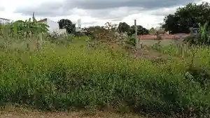 Terreno - Capivari, SP