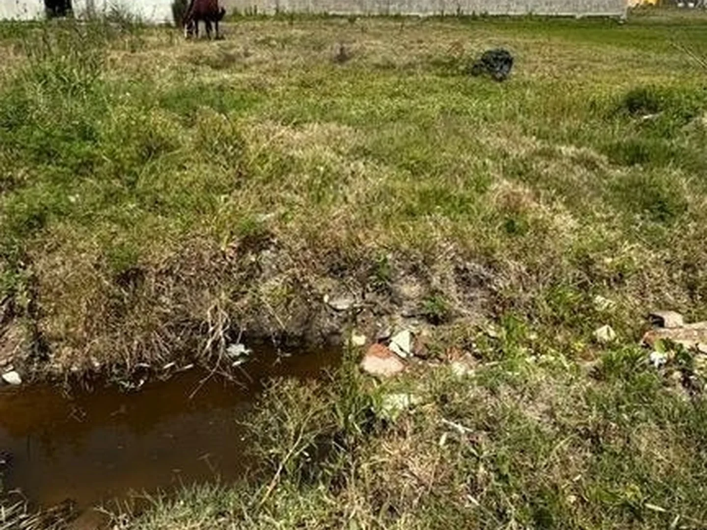 Terreno - Pelotas, RS - foto 1