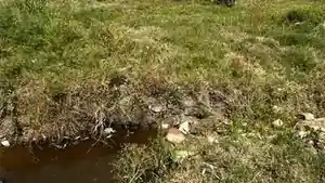 Terreno - Pelotas, RS