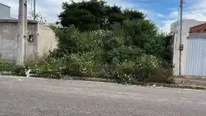 Terreno - Campos Dos Goytacazes, RJ