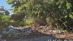 Terreno - Campos Dos Goytacazes, RJ