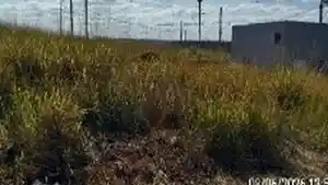 Terreno - Uberaba, MG
